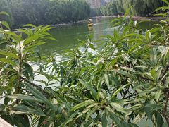 -团结湖公园