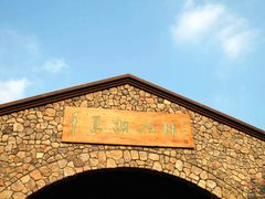 -千岛湖石林
