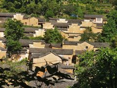 -杨家堂村