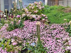 -首开·龙湖成都西宸天街