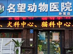 -瑞派名望24h动物医院异宠专科·猫专科·骨科·重症监护分院