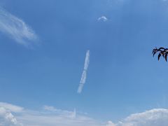 -蝴蝶泉公园
