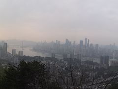 -南山植物园