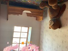 -金山农民画村-枫泾波兰倒置屋
