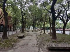 -江湾体育中心游泳馆