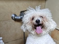 -佳雯宠物医院·皮肤科·内外科(春晓路分院)