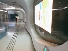 -上海中心大厦·地下停车库