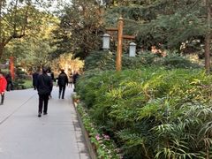 -房湖公园