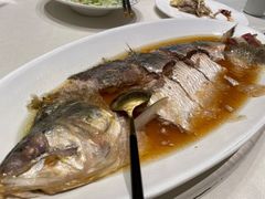 酒蒸鲥鱼-蝶园·装修中(BFC外滩金融中心店)