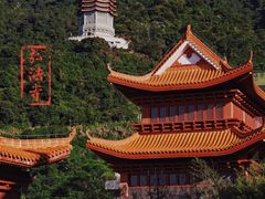 -深圳仙湖植物园