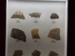 -鸿山遗址博物馆