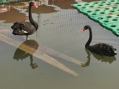 -南翠屏公园