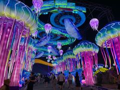 -第35届青岛国际啤酒节