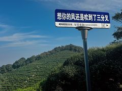 -十里琅珰