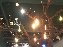 -梧桐树下(云锦世家店)