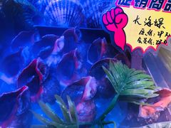 -黄寺蒸汽海鲜(黄寺大街店)