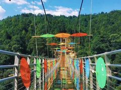 -九龙江国家森林公园