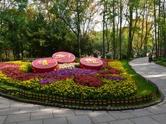 -上海共青森林公园