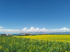 -青海湖国家重点风景名胜区