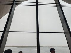 -抱抱地球咖啡馆(国家海洋博物馆店)
