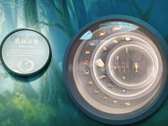 -中国湿地博物馆