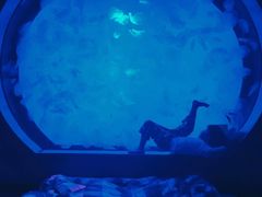 -沈阳海洋探索中心