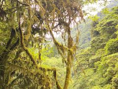 -西岭雪山大飞水景区