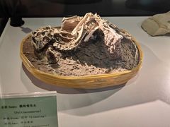 -房山世界地质公园博物馆