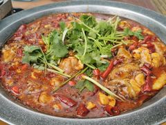 -大湾金牌万州烤鱼(沙河店)