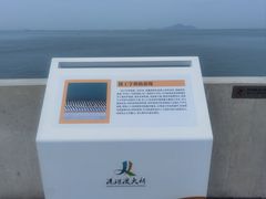 -港珠澳大桥(珠海段)