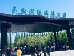 -黄海国家森林公园