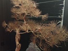 -观臣足道·养生SPA(冉家坝店)