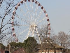 -顾村公园