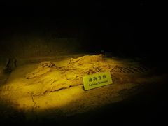 -汉景帝阳陵博物院