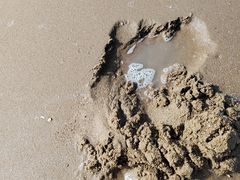 -天津东疆湾沙滩景区