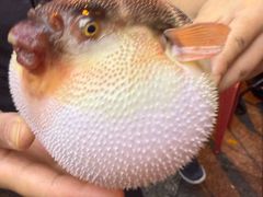 -永安鱼庄·镇江菜(东吴路店)