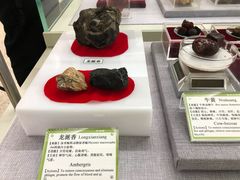-北京中医药大学-中医药博物馆