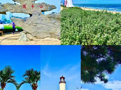 -巧克力渔家.小船海鲜胶东菜(万平口店)