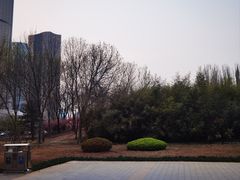 -大望京公园