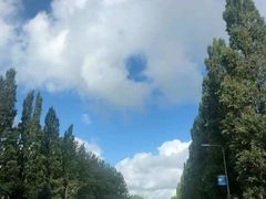 -袁记串串香(南区店)