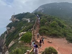 -杨梅坑