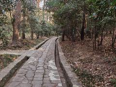 -灵谷景区