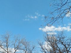 -北京大学燕东园