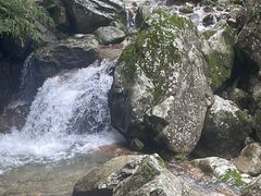 -牛背梁国家森林公园