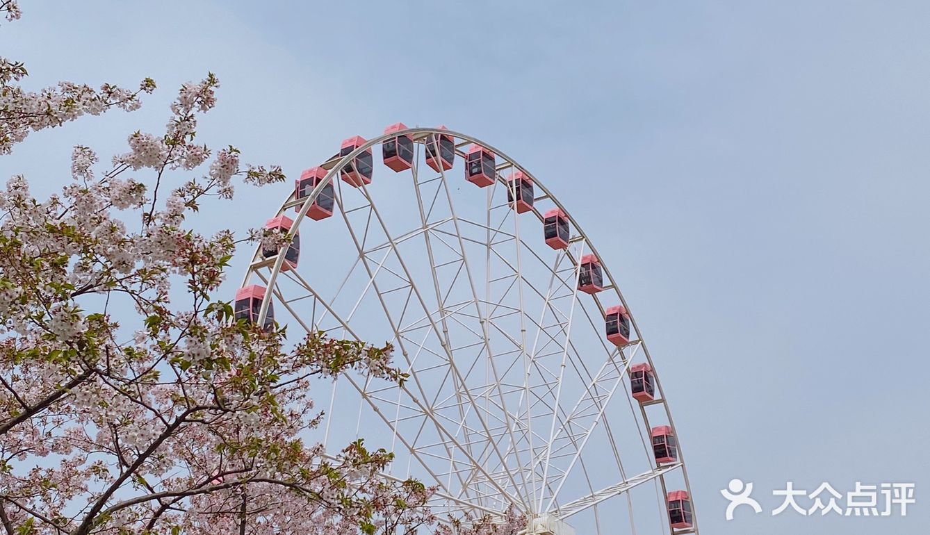 櫻花季第一次來沒有那麼多人的顧村公園 有幾年沒來了