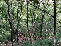 -大岭沟猕猴桃谷风景区