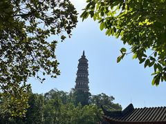 -顺峰山公园