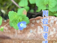 -上海吴淞炮台湾国家湿地公园