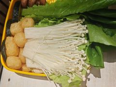 -润园四季椰子鸡火锅(卓越INTOWN店)