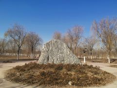 -天津东丽湖风景区